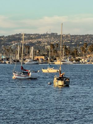 Mission Beach Park by null