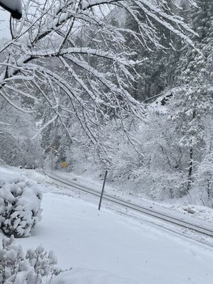 The Table at Junipine Resort by null