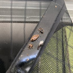 Infestation of cockroaches and black mold along with maintenance neglect on getting simple things fixed. Infestation of cockroaches and black mold along with maintenance neglect on getting simple things fixed.