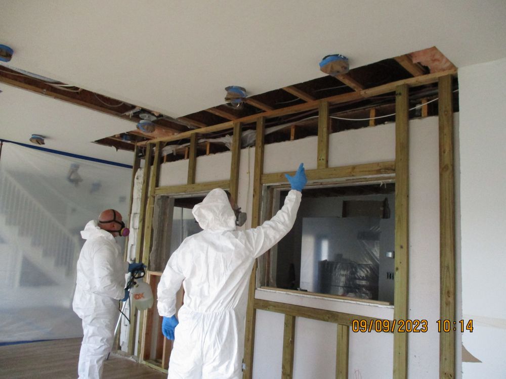 Devil Dog Mold Assessors - mold inspector in Spring Hill, FL