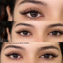 Eva Lash