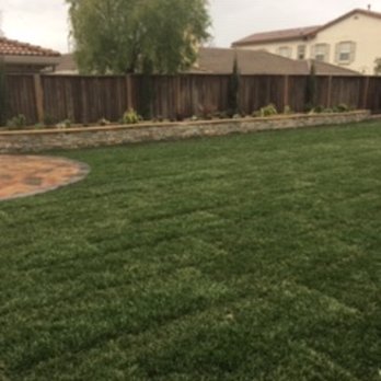 Izazaga Landscape - Beautiful grass - Landscaping Near Me