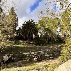 Aliso Creek Park and Wildlife Sanctuary