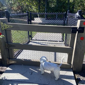 Laureate Dog Park - Dog Parks Near Me - Orlando, Florida Laureate Dog Park - Dog Parks Near Me - Orlando, Florida