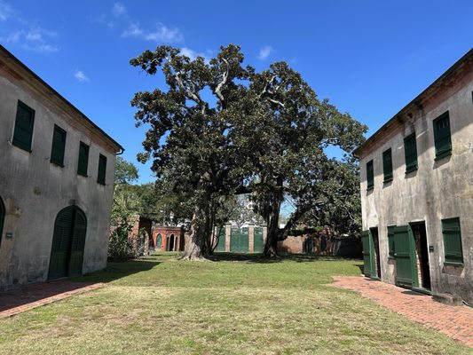 Aiken-Rhett House Museum by null