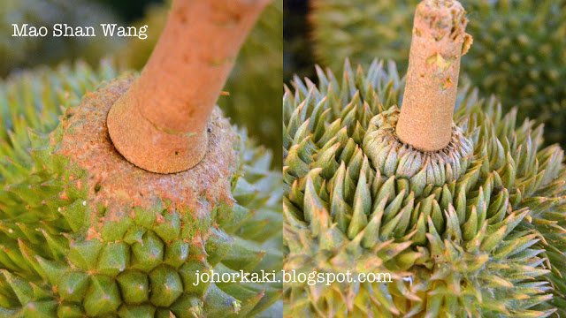 Wonderful Durian