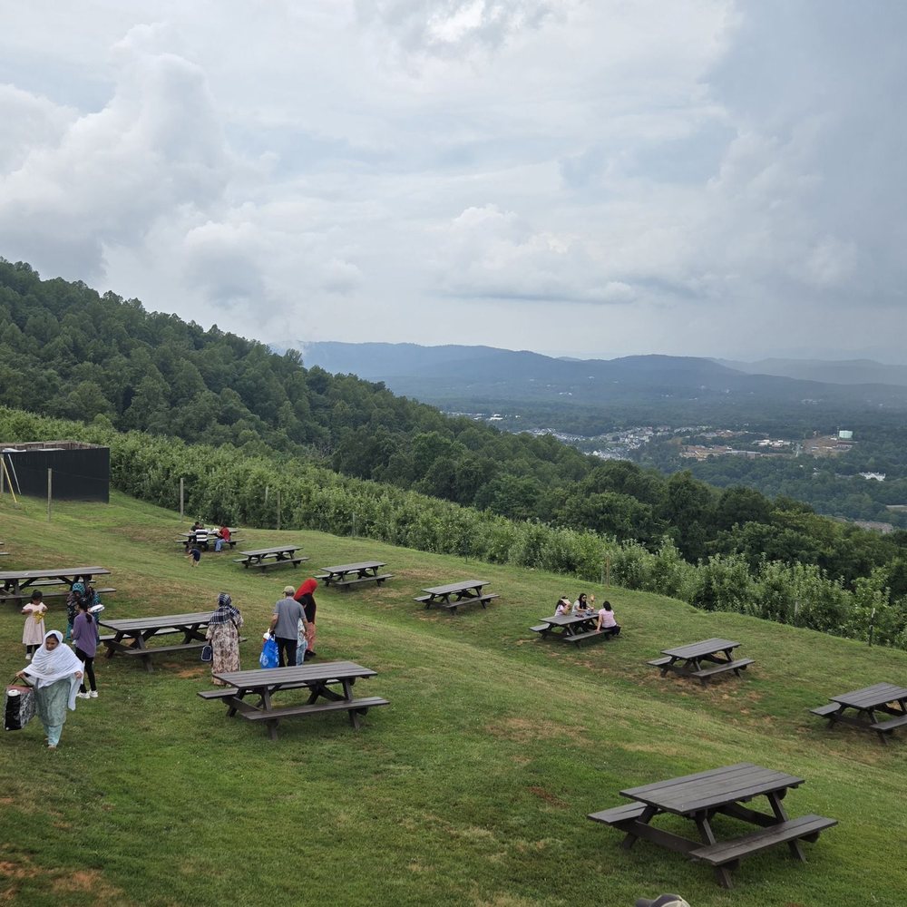 Carter Mountain Orchard - Pick Your Own Farms Near Me - Charlottesville, Virginia Carter Mountain Orchard - Pick Your Own Farms Near Me - Charlottesville, Virginia