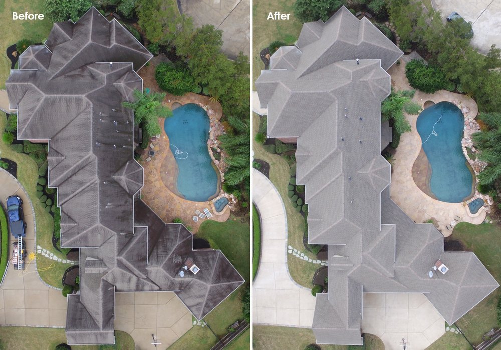 Slide of Slime Busters