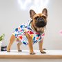 Photo of Toiffer Pet Outfitter