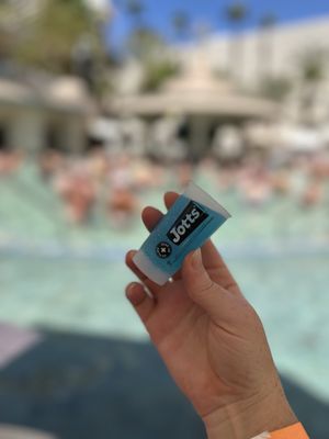 Flamingo Pool at Flamingo Las Vegas by null Flamingo Pool at Flamingo Las Vegas by null