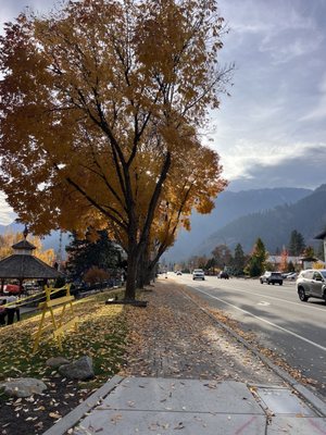 Bavarian Lodge by null