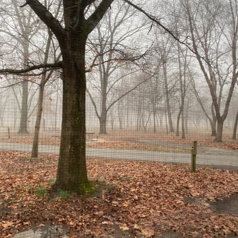 Montauk State Park - Foggy morning at Montauk. - Parks Near Me - Salem, Missouri Montauk State Park - Foggy morning at Montauk. - Parks Near Me - Salem, Missouri