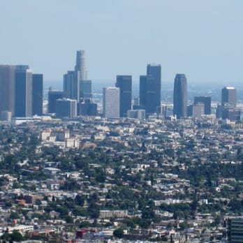 Photo of The George Harrison Tree - Los Angeles, CA, United States. a view of downtown Los Angeles from Griffith Observatory