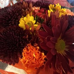 TOPS Friendly Markets - Flowers picked up at Tops earlier this week for Boss's Day. The photo doesn't do them justice, especially the gorgeous deep maroon mums.