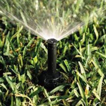 Stephen's Lawn Care and Improvements - Tree Services Near Me Stephen's Lawn Care and Improvements - Tree Services Near Me