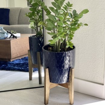 Home goods - All the summer pots are on clearance. Must stop by. Can't beat the prices. - Home Decor Near Me - Pompano Beach, Florida