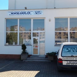 San service