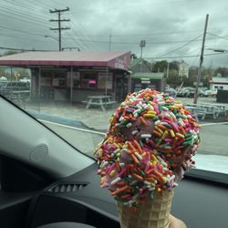 U Scream Ice Cream - Black Raspberry Chip Yogurt