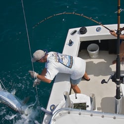 Port Canaveral Sport Fishing - Tarpon Fishing