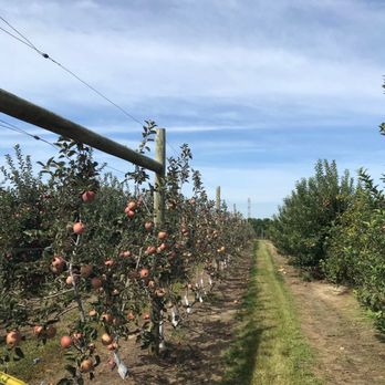Johnson's Corner Farm - Fruits & Veggies Near Me - Medford, New Jersey