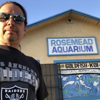 natural tick repellent for dogs essential oils