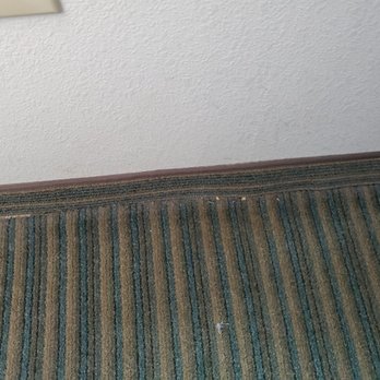 Candlewood Suites Houma - The baseboards in the room hadn't been vacuumed in a really long time - Venues & Event Spaces Near Me - Houma, Louisiana Candlewood Suites Houma - The baseboards in the room hadn't been vacuumed in a really long time - Venues & Event Spaces Near Me - Houma, Louisiana