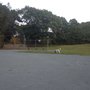 Photo of Briggs Field