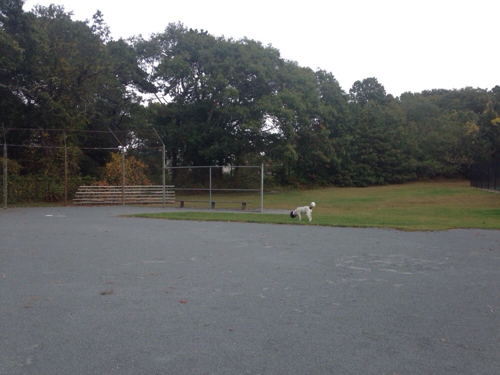 Briggs Field Image