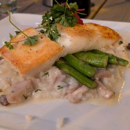 Halibut Halibut