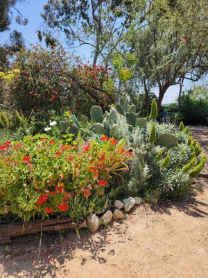 Elysian Park Trail by null