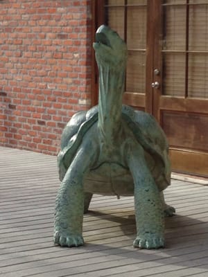 Atchafalaya Welcome Center by null