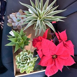 Fairview Garden Center