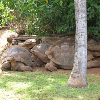 Honolulu Zoo - Zoos Near Me - Honolulu, Hawaii Honolulu Zoo - Zoos Near Me - Honolulu, Hawaii