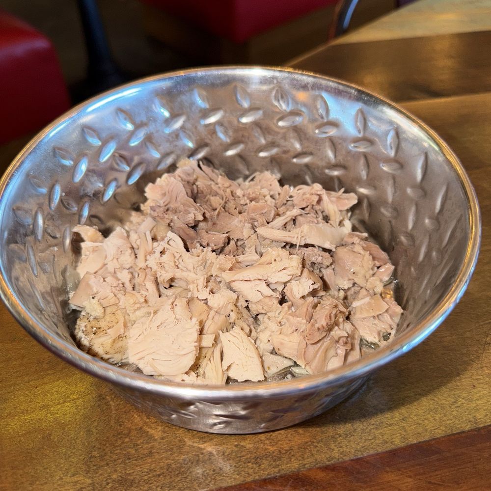 Riveters Tampa - Dog Chicken bowl - New American Near Me - Tampa, Florida Riveters Tampa - Dog Chicken bowl - New American Near Me - Tampa, Florida