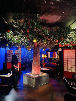 Wild Orange at HB Social Club by null