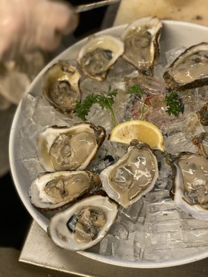 Calypso | Restaurant & Raw Bar by null