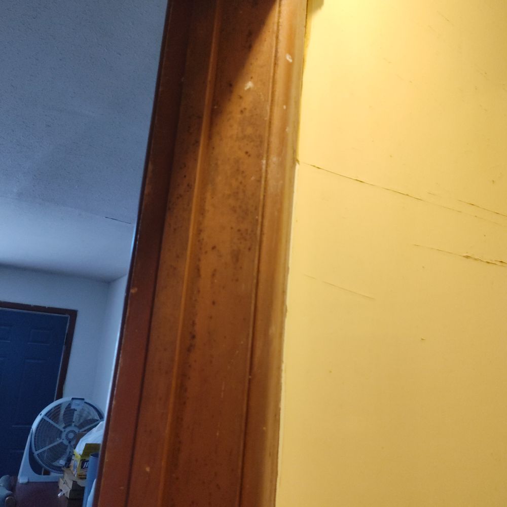 Villa Motel - Black mold spreading to the wood on the door frame - Hotels Near Me - Plainview, Texas Villa Motel - Black mold spreading to the wood on the door frame - Hotels Near Me - Plainview, Texas