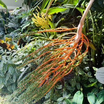 Amazon Spheres - Botanical Gardens Near Me - Seattle, Washington