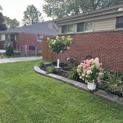 Merritt Home Designs - Huge healthy limelight hydrangea tree and quick fire fab hydrangea