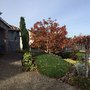 Photo of Gatley Tree Service
