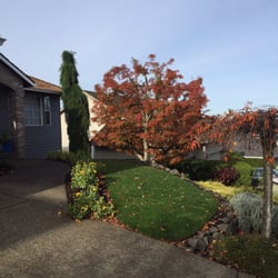 Gatley Tree Service - Beautiful Landscape pruning