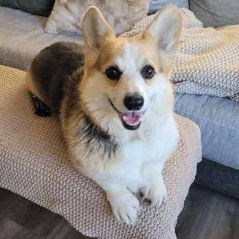 J&M Critter Care - Pet Sitting Near Me - Weldon, Illinois J&M Critter Care - Pet Sitting Near Me - Weldon, Illinois