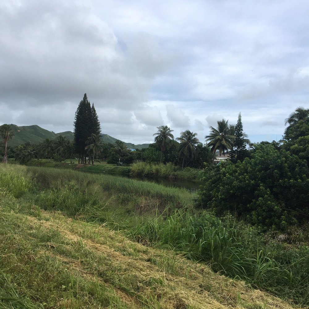 Kawainui Marsh Trail - Hiking Near Me - Kailua, Hawaii