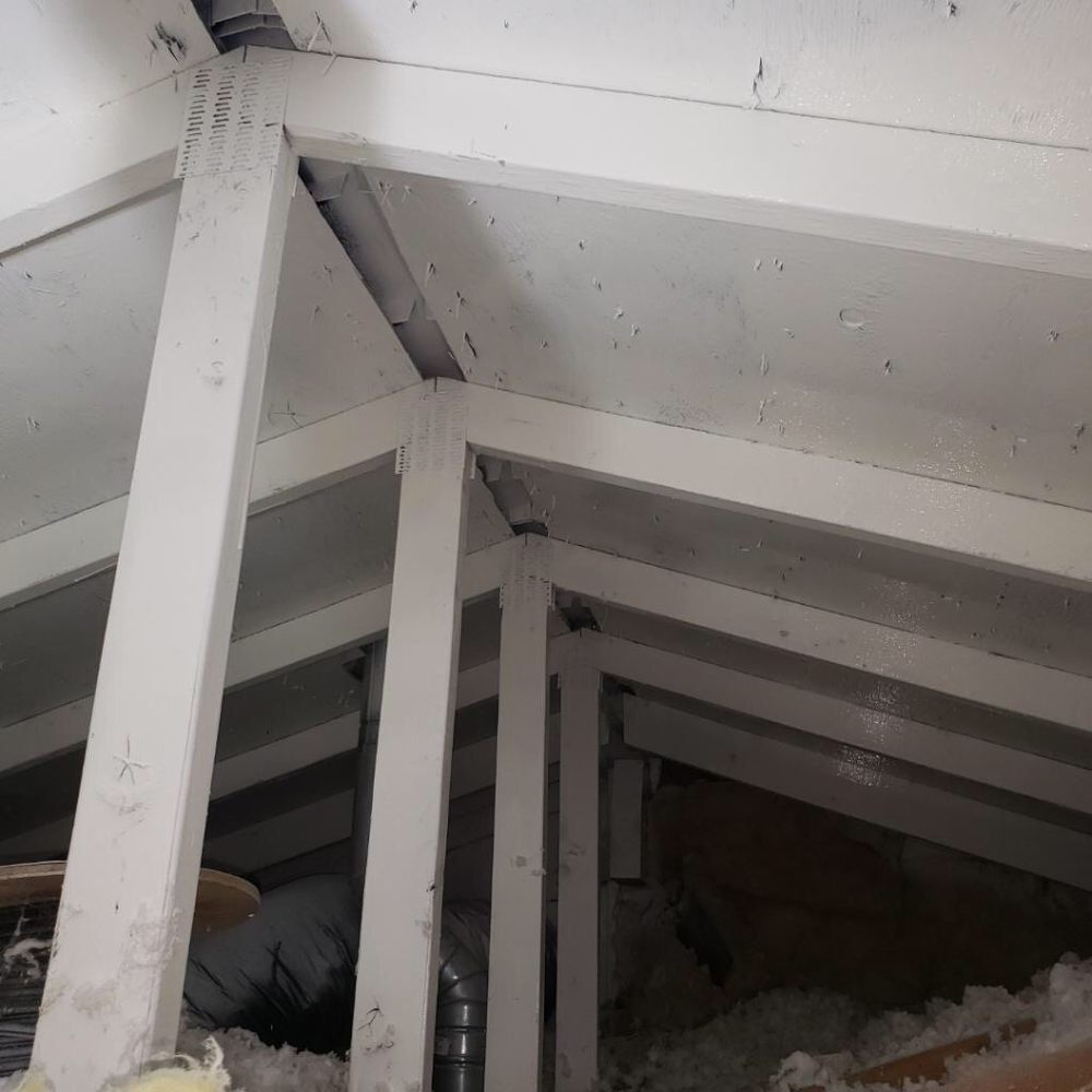 Bellingham Mold - Looks beautiful and clean. - Damage Restoration Near Me