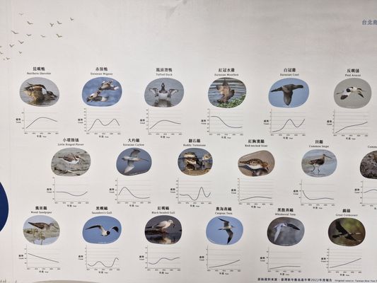 National Taiwan Museum by null