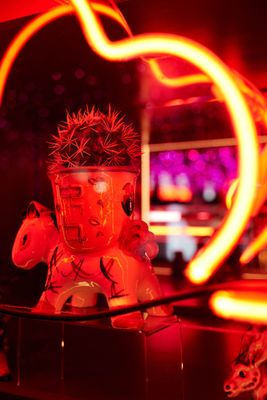 Ghost Donkey - Dallas by null