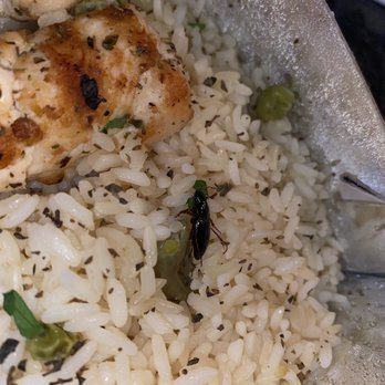 Gyro World - Greek Near Me - Flushing, New York