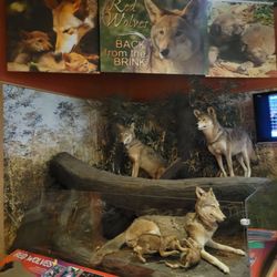 Coastal North Carolina National Wildlife Refuges Gateway Visitor