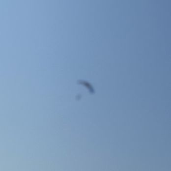 Skydive Grand Haven - Skydiving Near Me - Grand Haven, Michigan Skydive Grand Haven - Skydiving Near Me - Grand Haven, Michigan