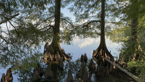 Park Office / Visitor Center by null